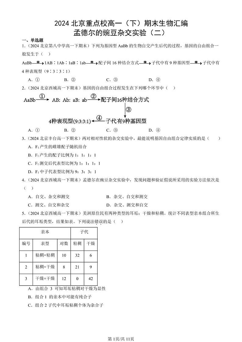 2024北京重点校高一（下）期末真题生物汇编：孟德尔的豌豆杂交实验（二）第1页