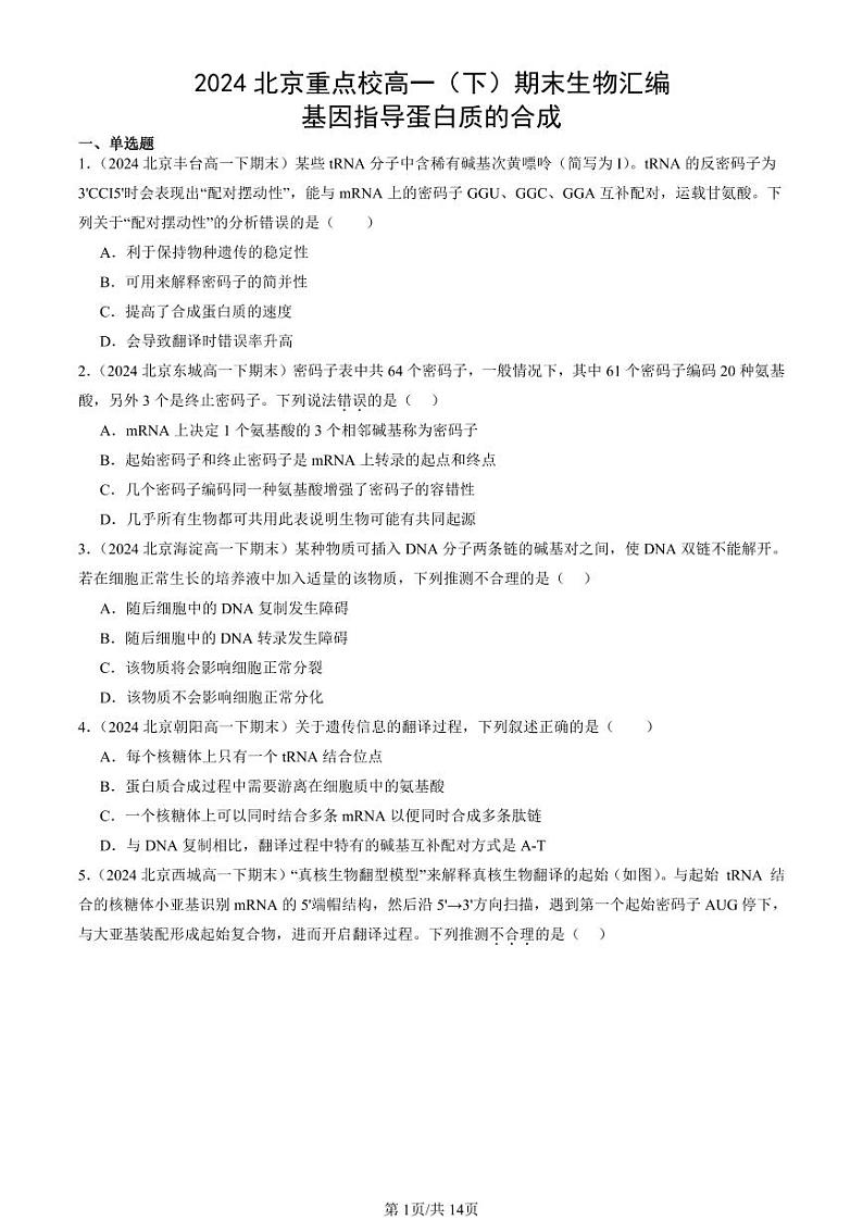 2024北京重点校高一（下）期末真题生物汇编：基因指导蛋白质的合成第1页