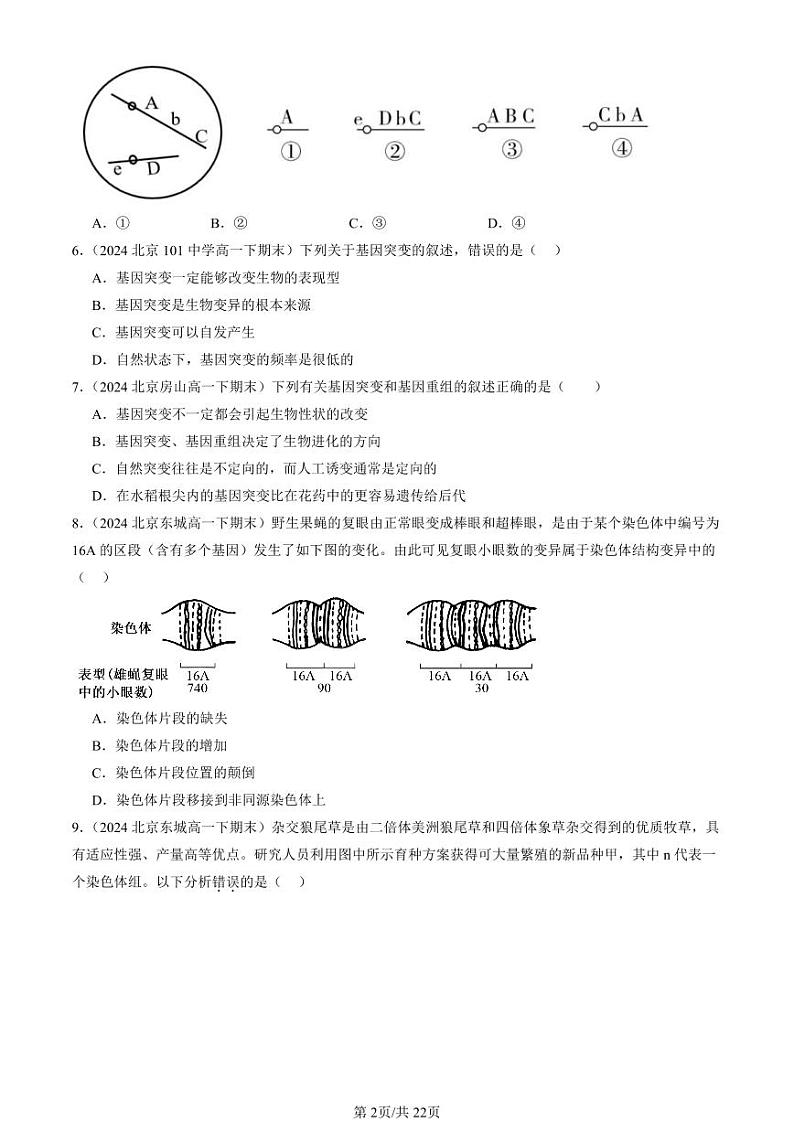 2024北京重点校高一（下）期末真题生物汇编：基因突变及其它变异章节综合（选择题）第2页