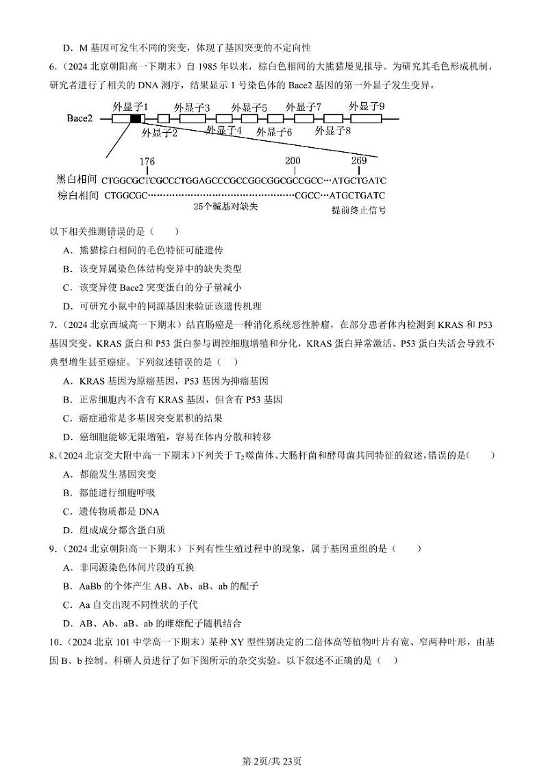 2024北京重点校高一（下）期末真题生物汇编：基因突变和基因重组第2页