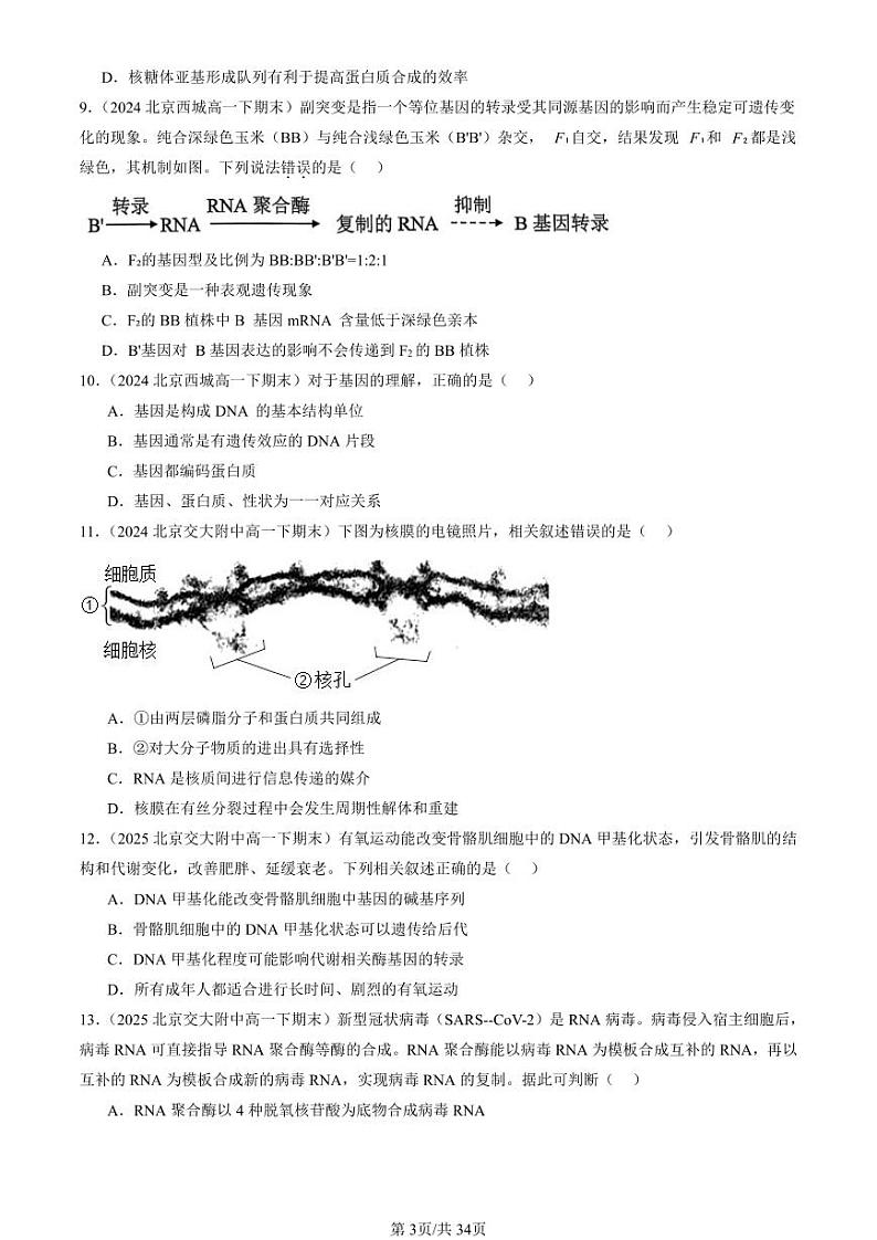 2024北京重点校高一（下）期末真题生物汇编：基因的表达章节综合第3页