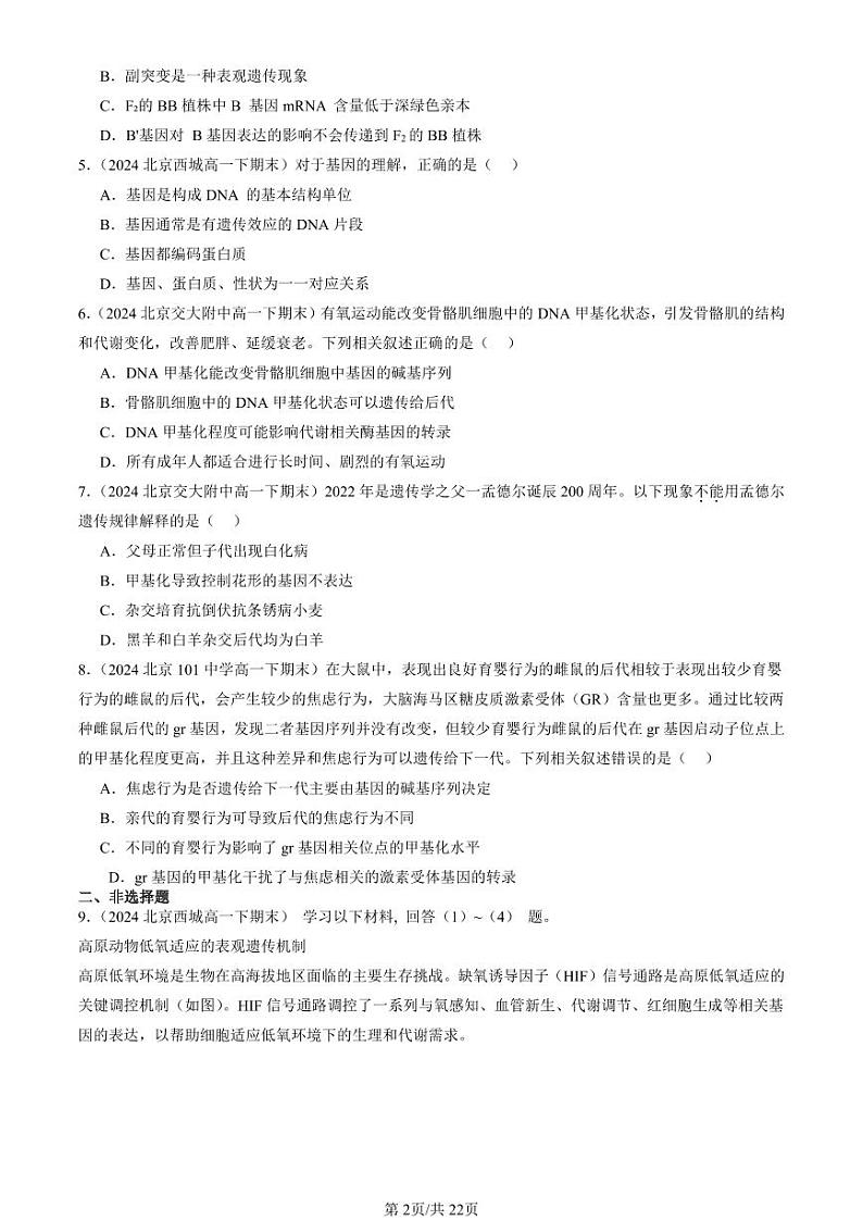 2024北京重点校高一（下）期末真题生物汇编：基因的表达与性状关系第2页