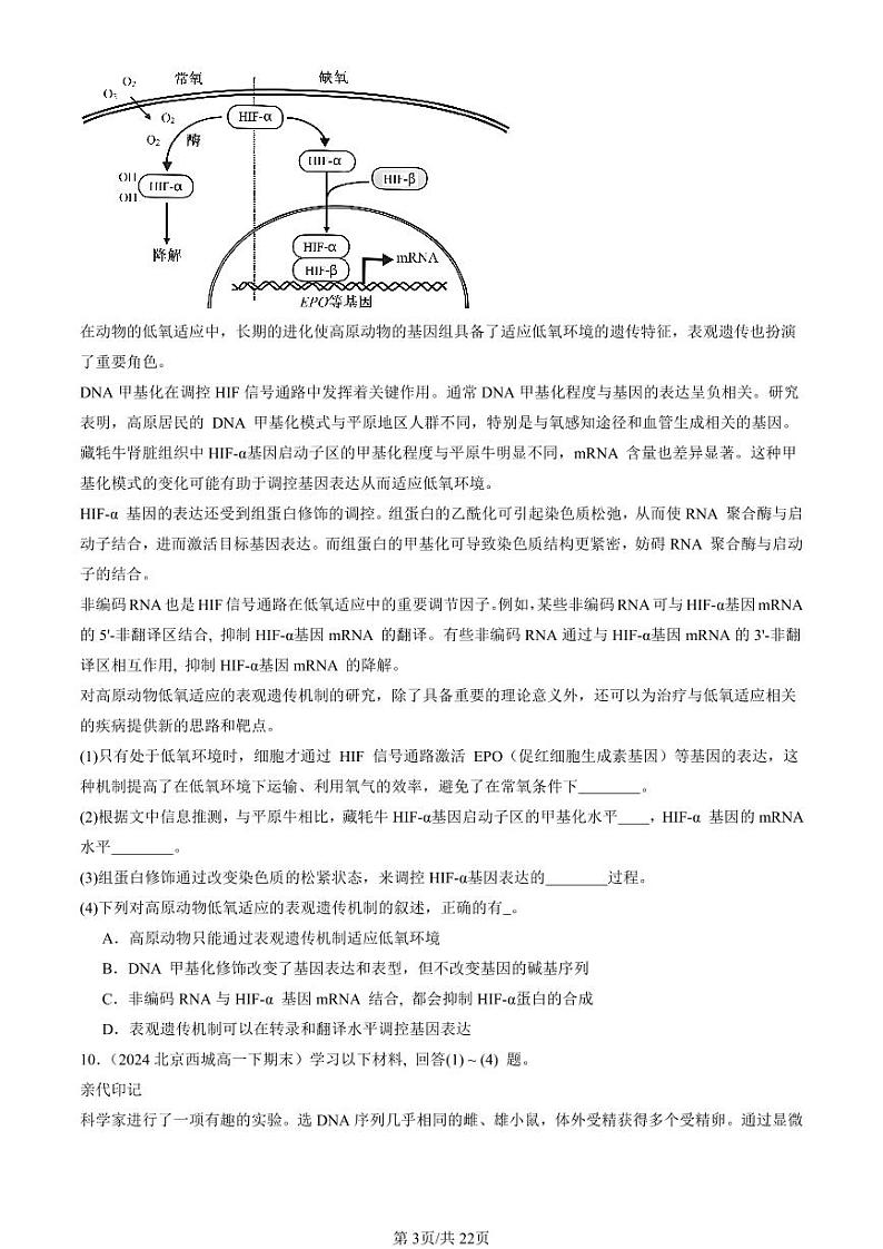 2024北京重点校高一（下）期末真题生物汇编：基因的表达与性状关系第3页