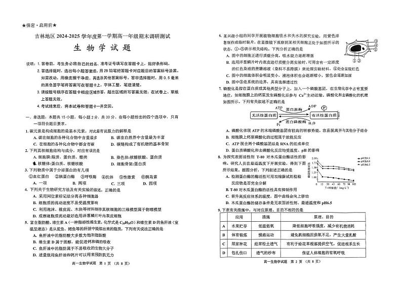 吉林省吉林市2024-2025学年高一上学期期末调研生物试题第1页