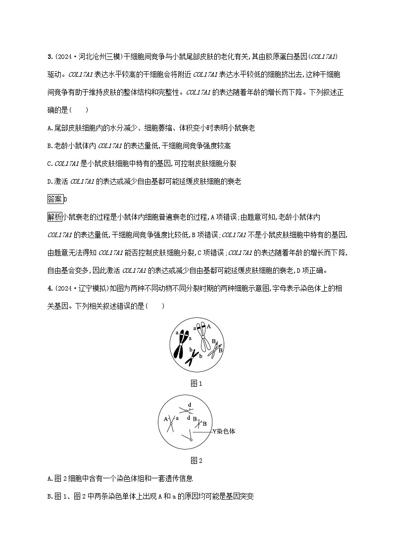2025届高考生物二轮总复习知识对点小题练5细胞的生命历程第2页