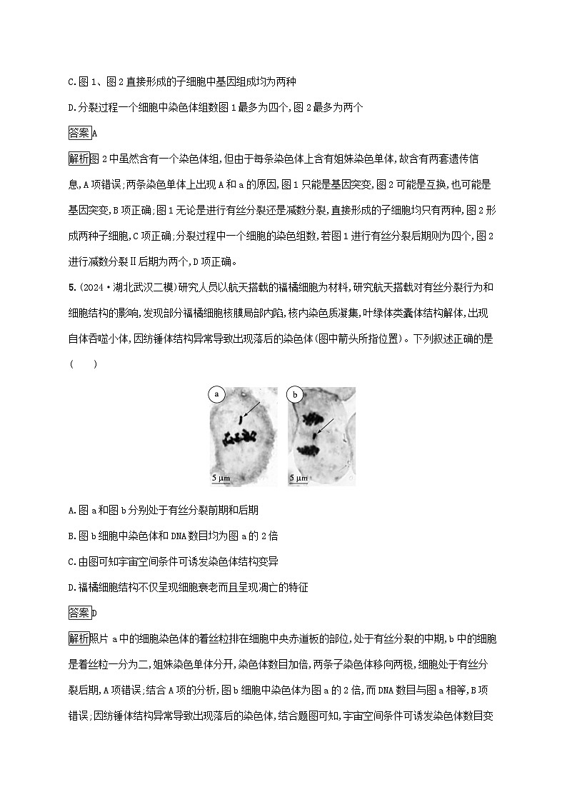 2025届高考生物二轮总复习知识对点小题练5细胞的生命历程第3页