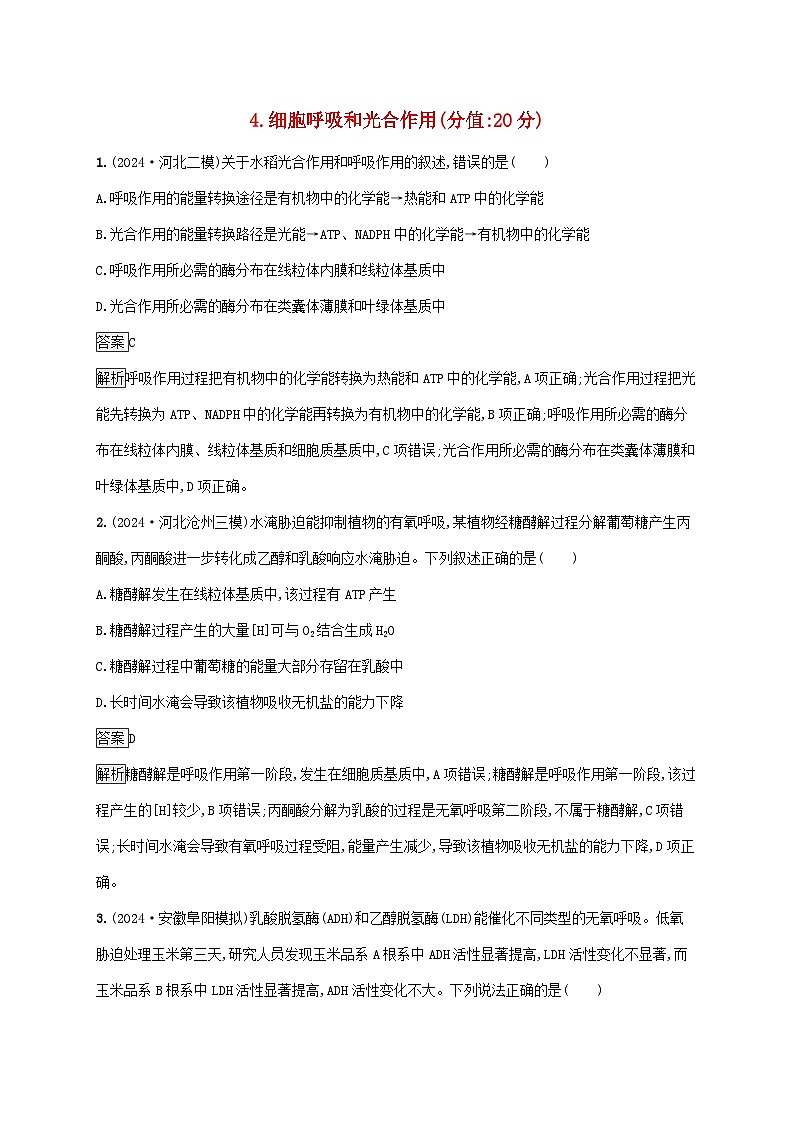 2025届高考生物二轮总复习知识对点小题练4细胞呼吸和光合作用第1页