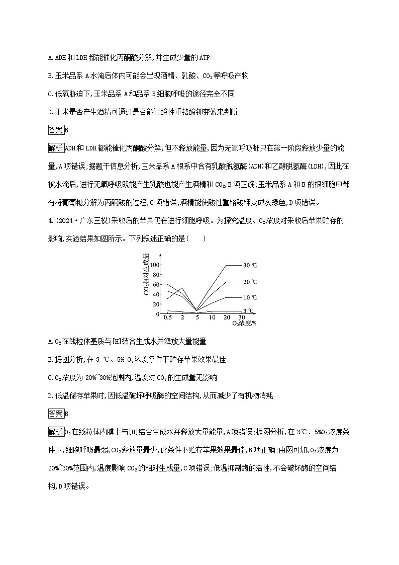 2025届高考生物二轮总复习知识对点小题练4细胞呼吸和光合作用第2页