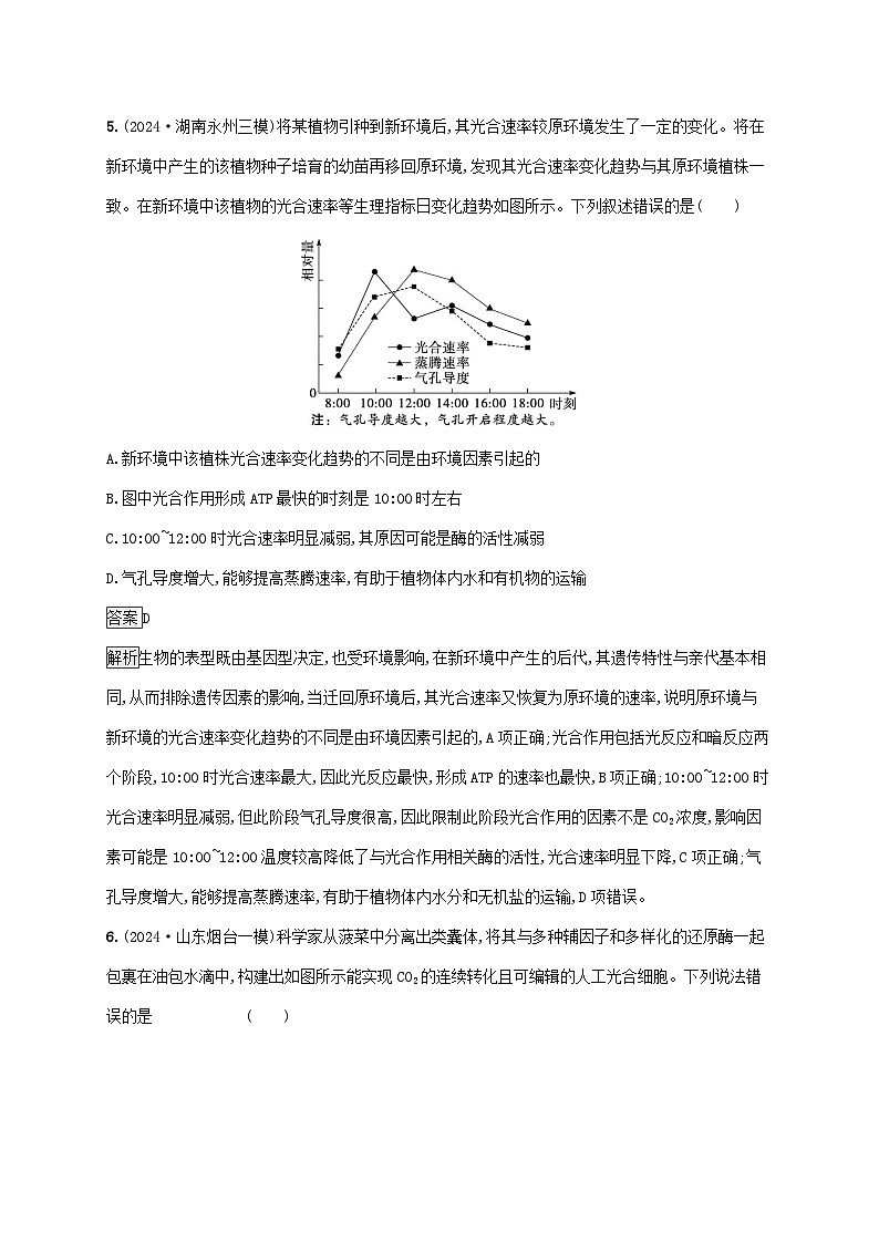 2025届高考生物二轮总复习知识对点小题练4细胞呼吸和光合作用第3页