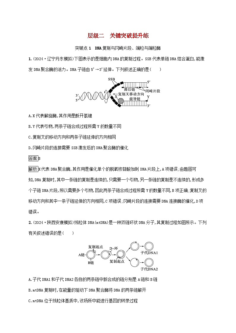 2025届高考生物二轮总复习大单元5遗传的分子基础变异与进化层级二关键突破提升练第1页