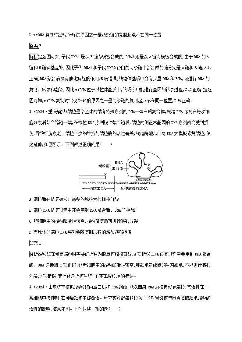 2025届高考生物二轮总复习大单元5遗传的分子基础变异与进化层级二关键突破提升练第2页