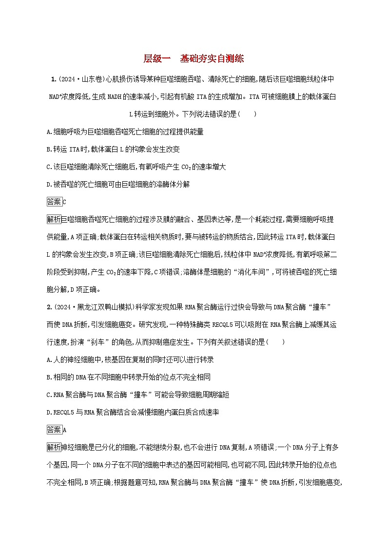 2025届高考生物二轮总复习大单元3细胞的增殖分化衰老和死亡等生命历程层级一基础夯实自测练第1页