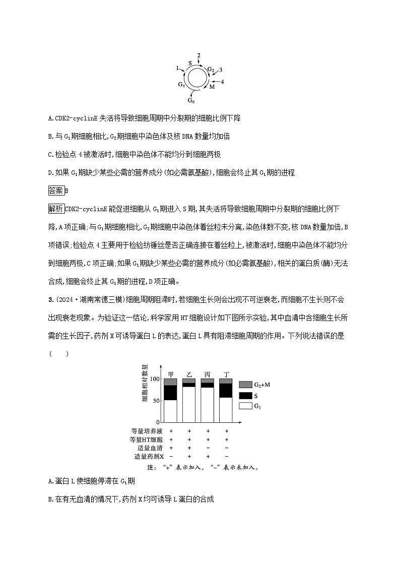 2025届高考生物二轮总复习大单元3细胞的增殖分化衰老和死亡等生命历程层级二关键突破提升练第2页