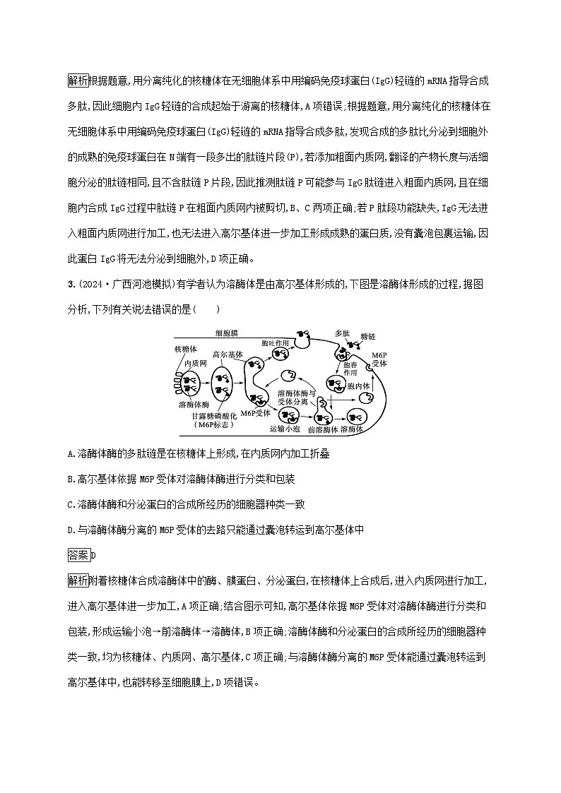 2025届高考生物二轮总复习大单元1细胞是生物体结构与生命活动的基本单位层级二关键突破提升练第2页