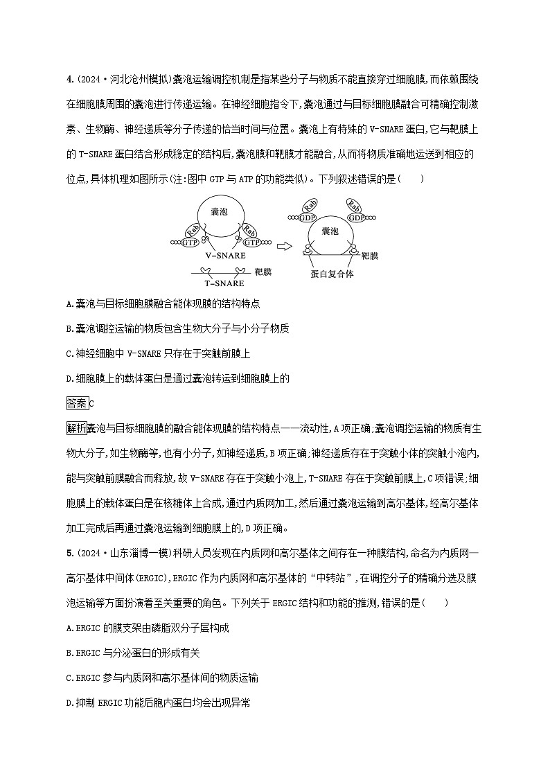 2025届高考生物二轮总复习大单元1细胞是生物体结构与生命活动的基本单位层级二关键突破提升练第3页