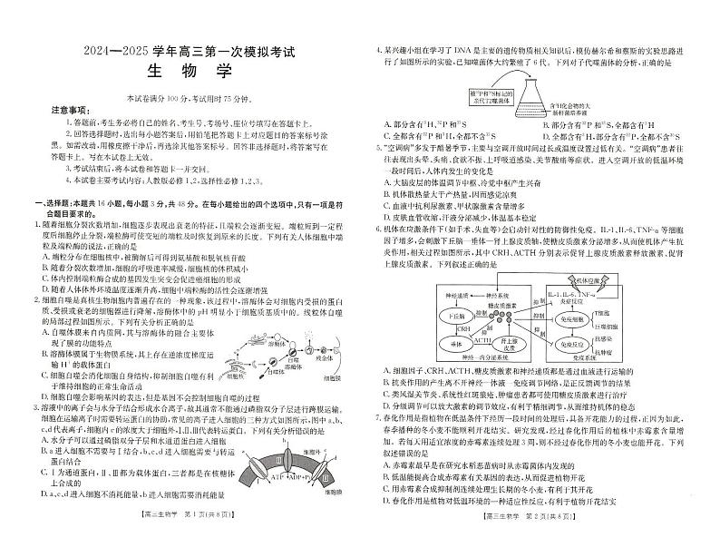 2025届河南省新乡市新乡市高三第一次模拟考试一模生物试题第1页