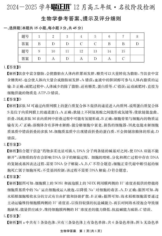 2024-2025学年耀正优12月高三年级·名校阶段检测生物答案第1页
