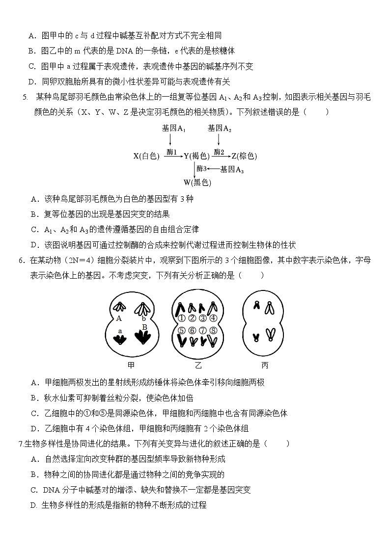 云南省保山市智源高级中学2024-2025学年高二上学期11月期中生物试卷第2页