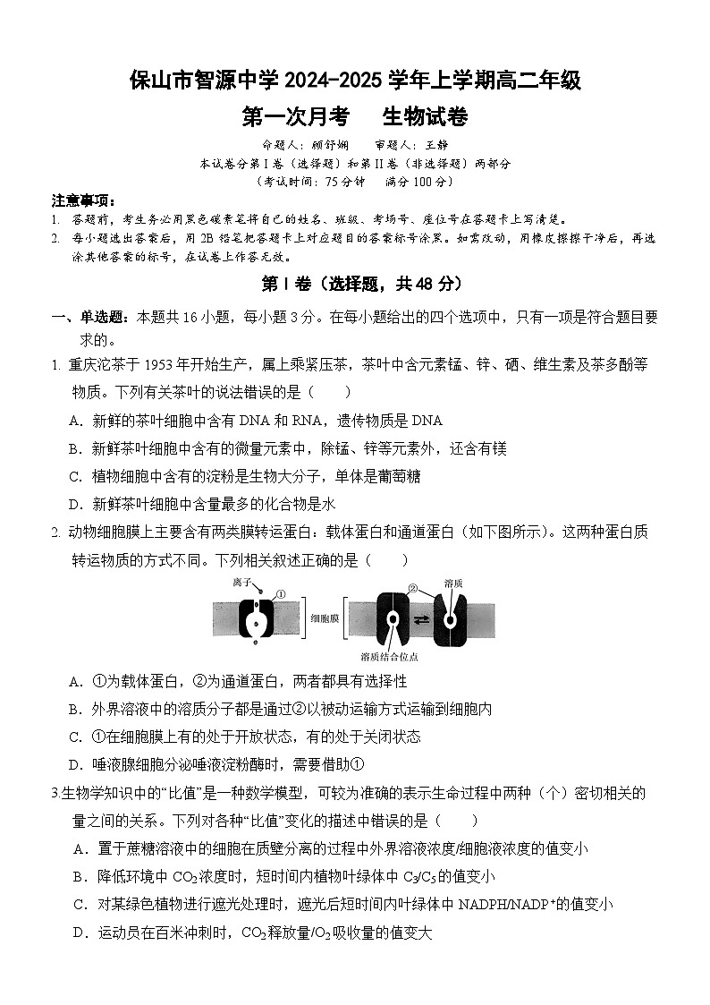 云南省保山市隆阳区保山市智源高级中学2024-2025学年高二上学期10月月考生物试题第1页