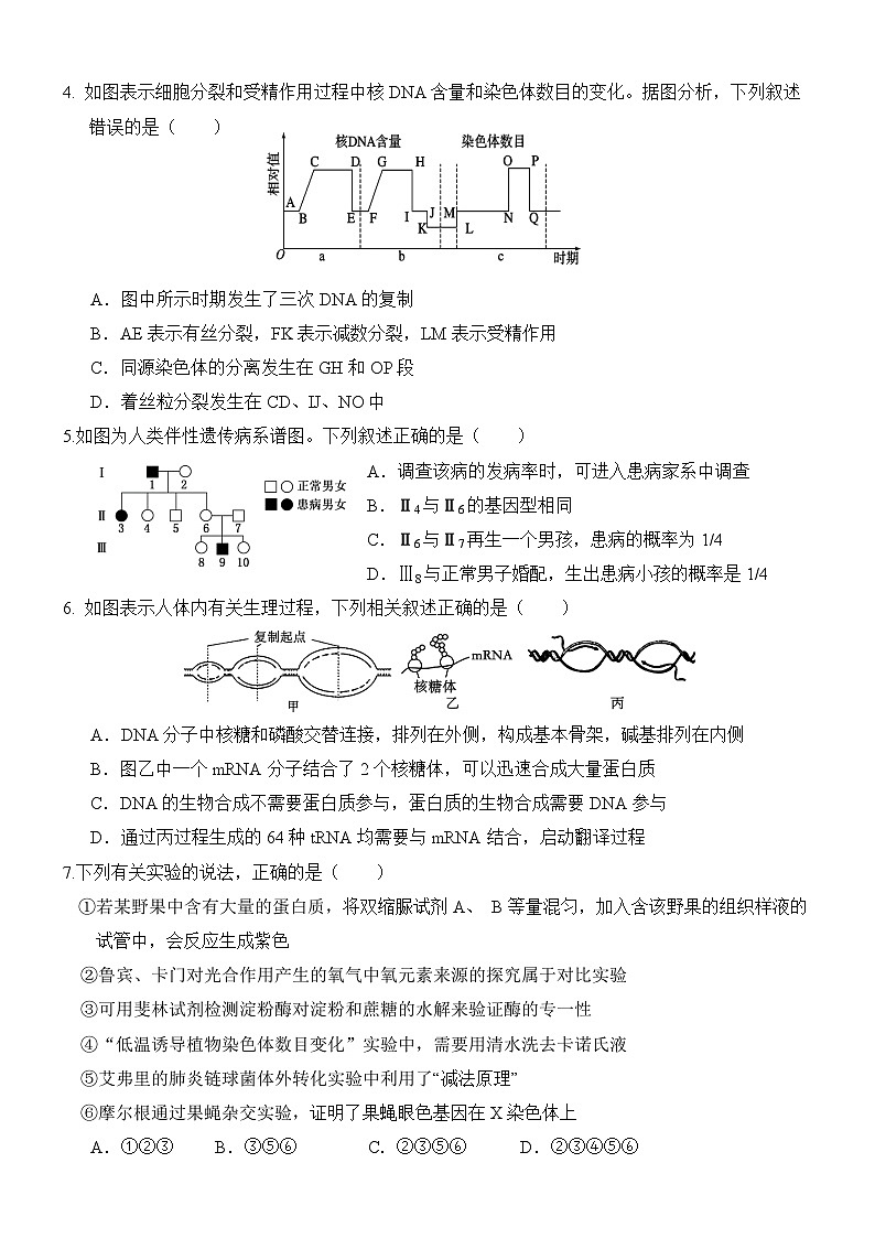 云南省保山市隆阳区保山市智源高级中学2024-2025学年高二上学期10月月考生物试题第2页