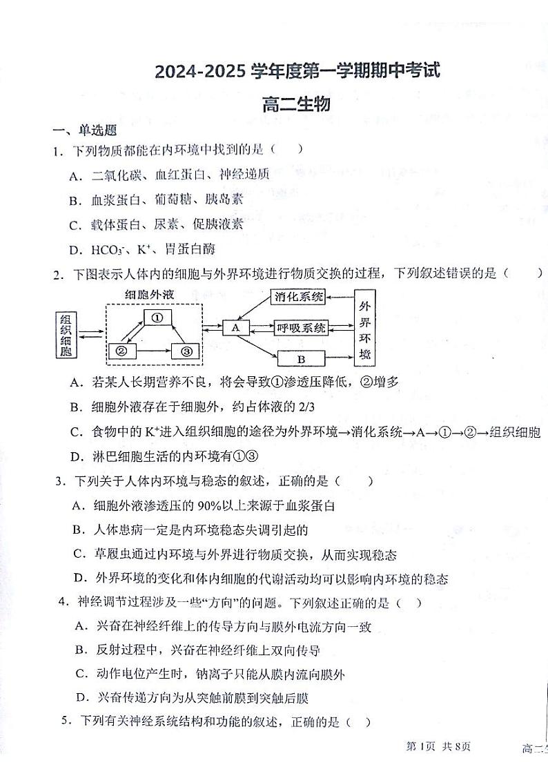 甘肃省白银市靖远县第四中学2024-2025学年高二上学期11月期中考试生物试题第1页