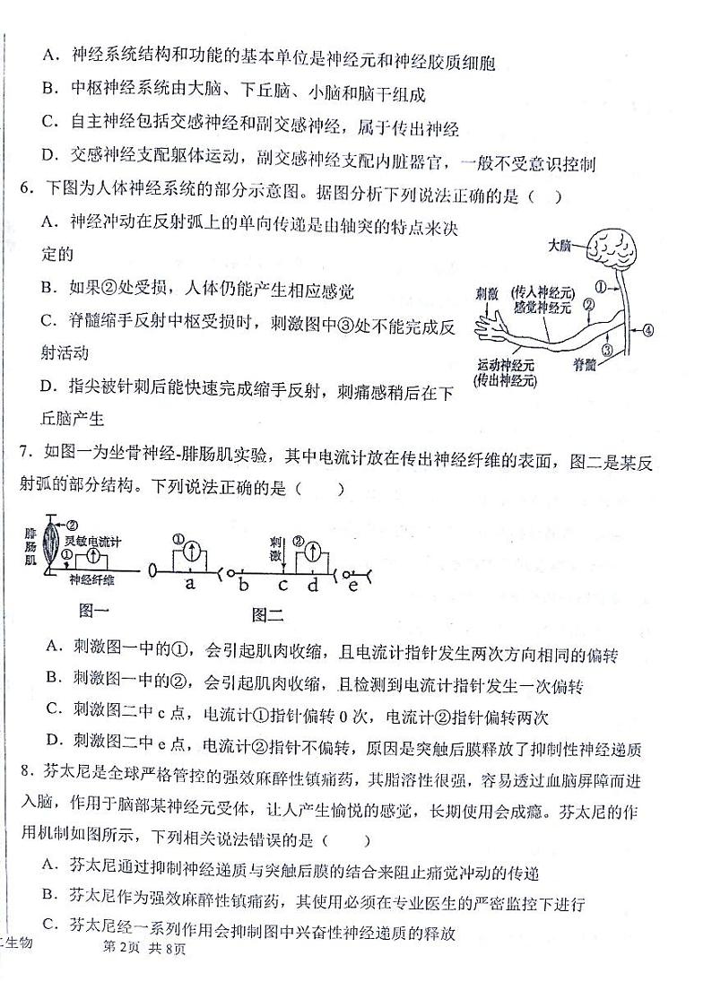 甘肃省白银市靖远县第四中学2024-2025学年高二上学期11月期中考试生物试题第2页