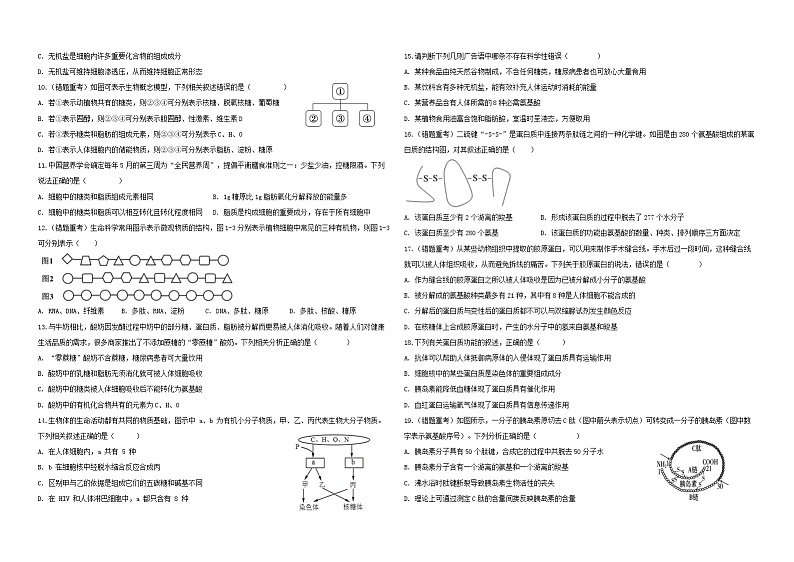 云南省大理白族自治州大理市大理白族自治州民族中学2024-2025学年高一上学期11月期中生物试题第2页