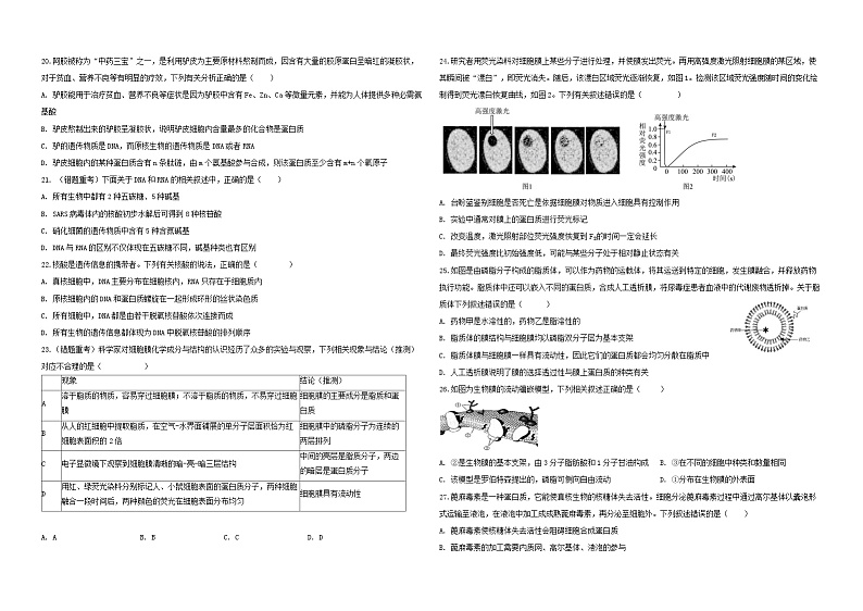 云南省大理白族自治州大理市大理白族自治州民族中学2024-2025学年高一上学期11月期中生物试题第3页