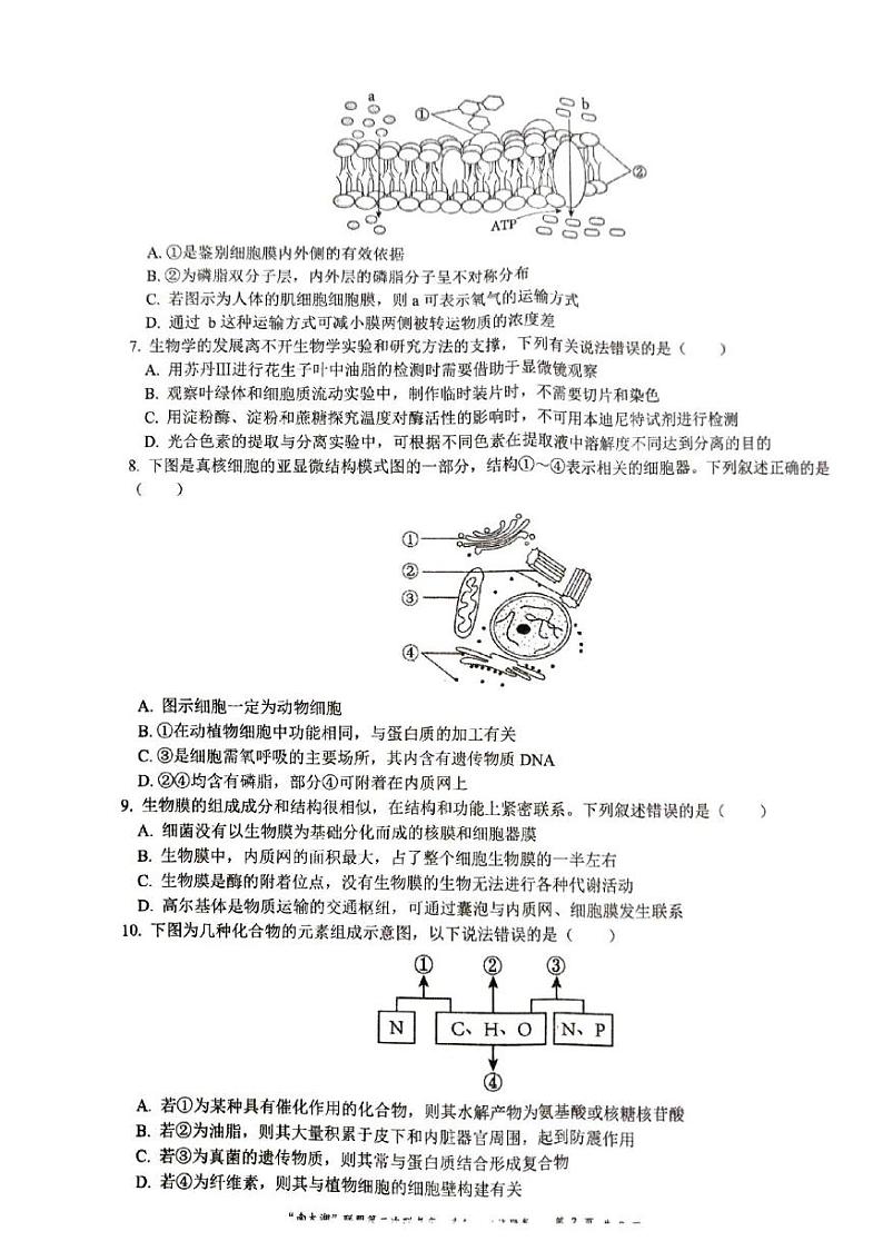 浙江省“南太湖”联盟2024-2025学年高一上学期12月第二次联考生物试题（PDF版附答案）第2页