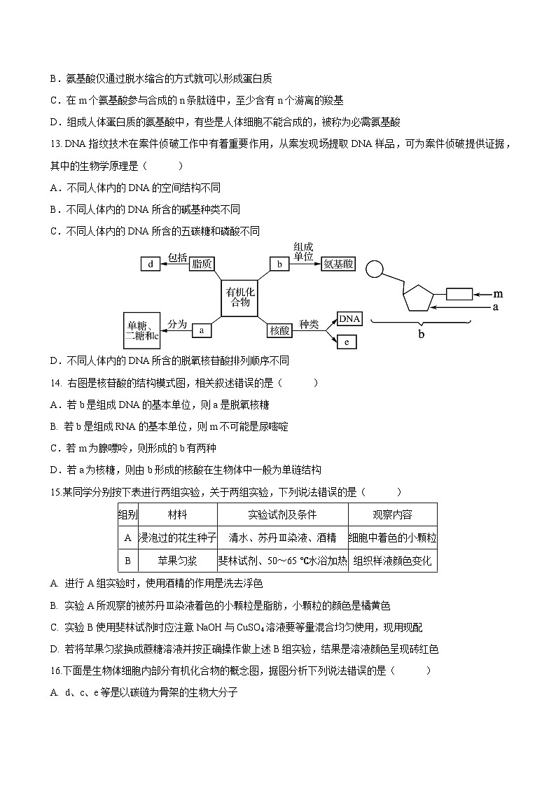 贵州省部分学校2024-2025学年高一上学期第一次联考生物试题（Word版附答案）第3页