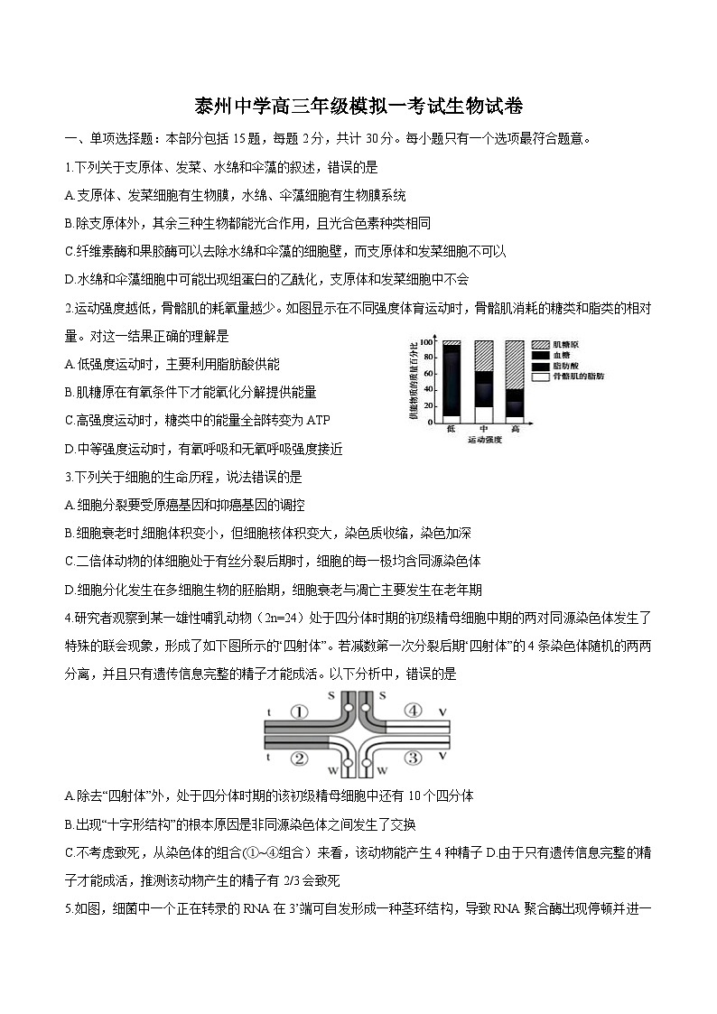江苏省泰州中学2025届高三上学期一模生物试题（Word版附答案）第1页