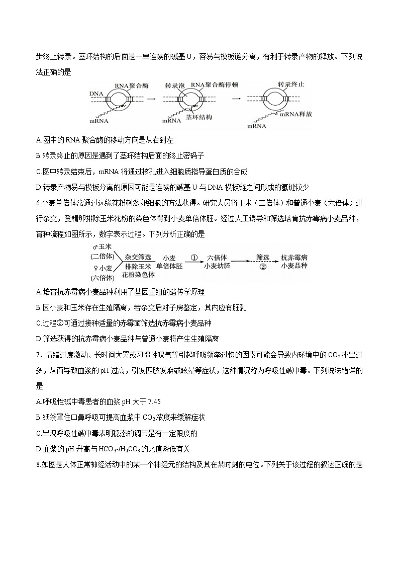 江苏省泰州中学2025届高三上学期一模生物试题（Word版附答案）第2页