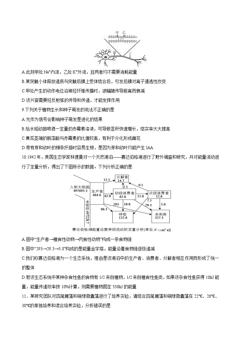 江苏省泰州中学2025届高三上学期一模生物试题（Word版附答案）第3页