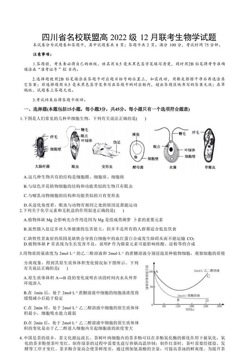 四川省名校联盟高2025届高三上学期12月联考-生物试卷+答案第1页