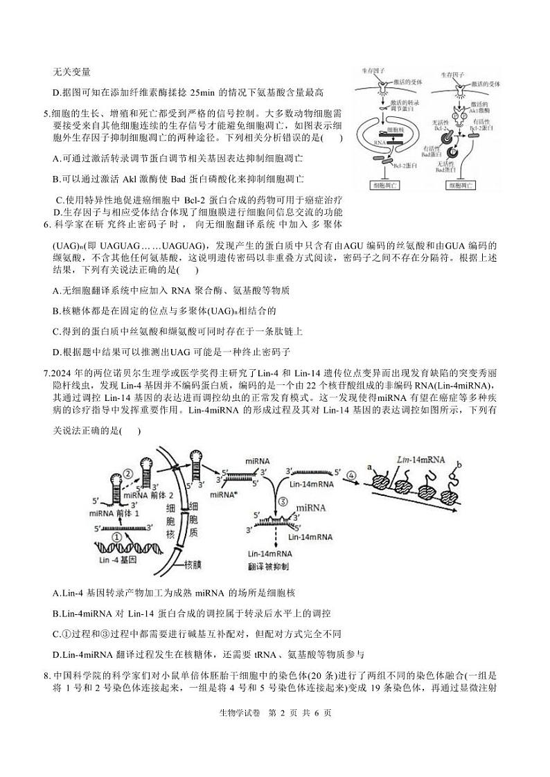 四川省名校联盟高2025届高三上学期12月联考-生物试卷+答案第3页