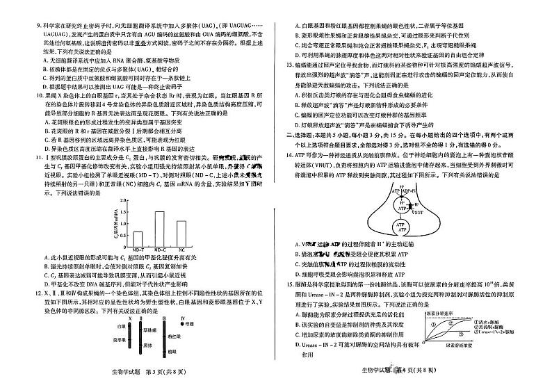 2025届皖豫天一大联考高三毕业班阶段性测试（二）-生物试卷第2页