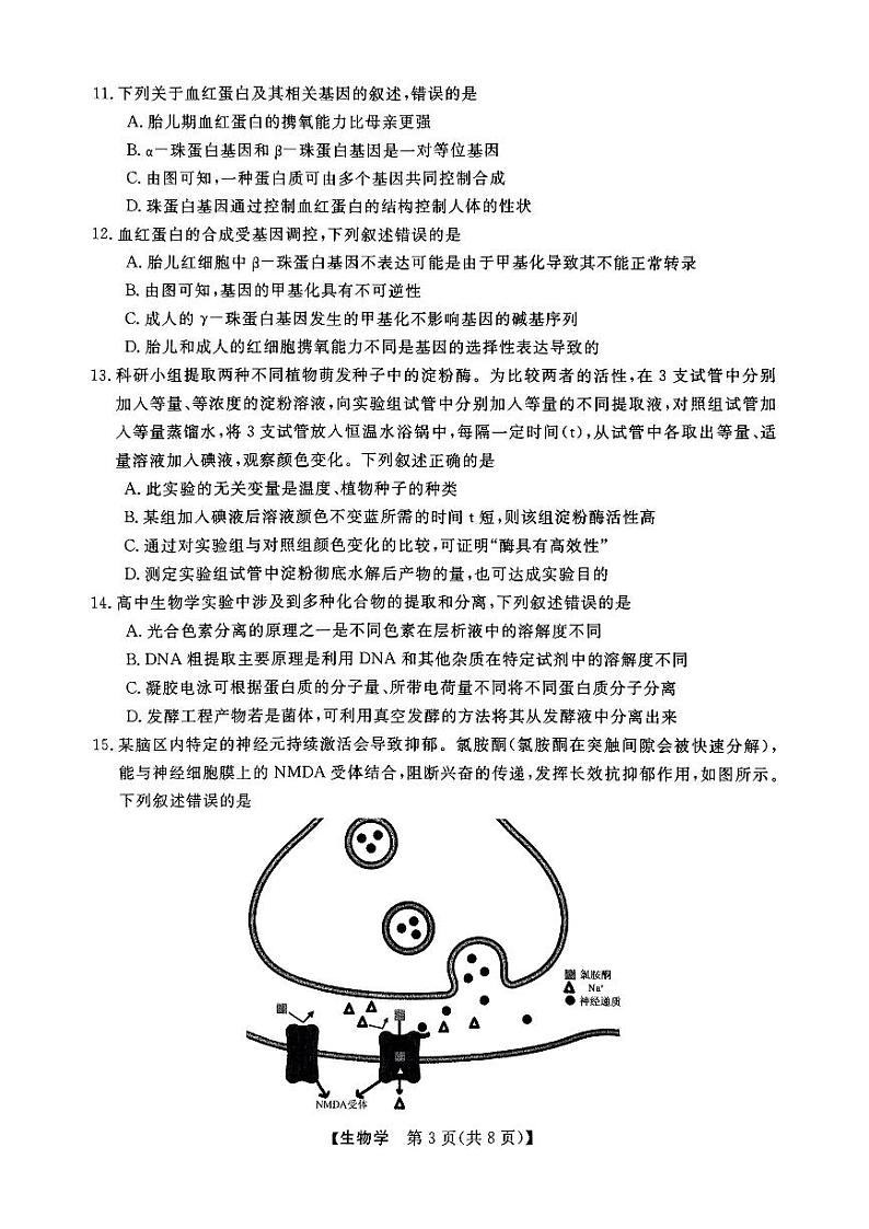 2025届浙江省浙江强基联盟高三10月联考-生物试题+答案第3页