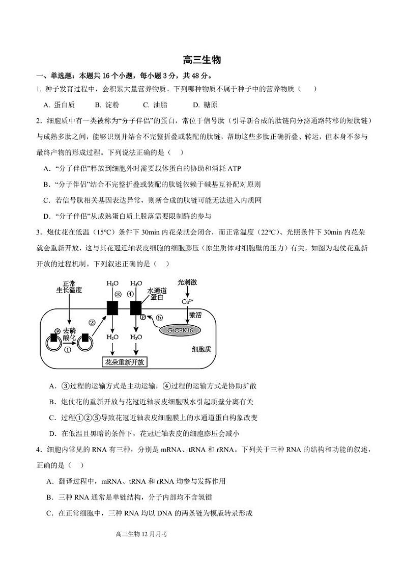 四川省成都列五中学2025届高三上学期12月考-生物试卷+答案第1页