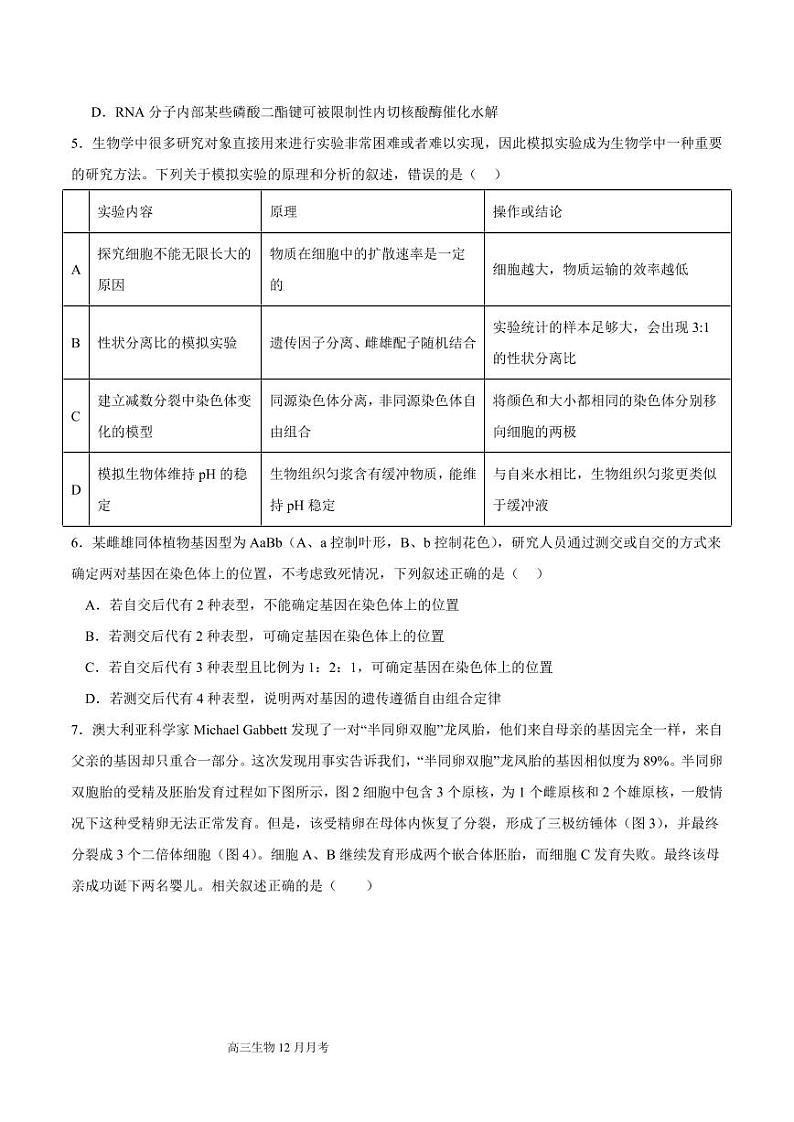 四川省成都列五中学2025届高三上学期12月考-生物试卷+答案第2页