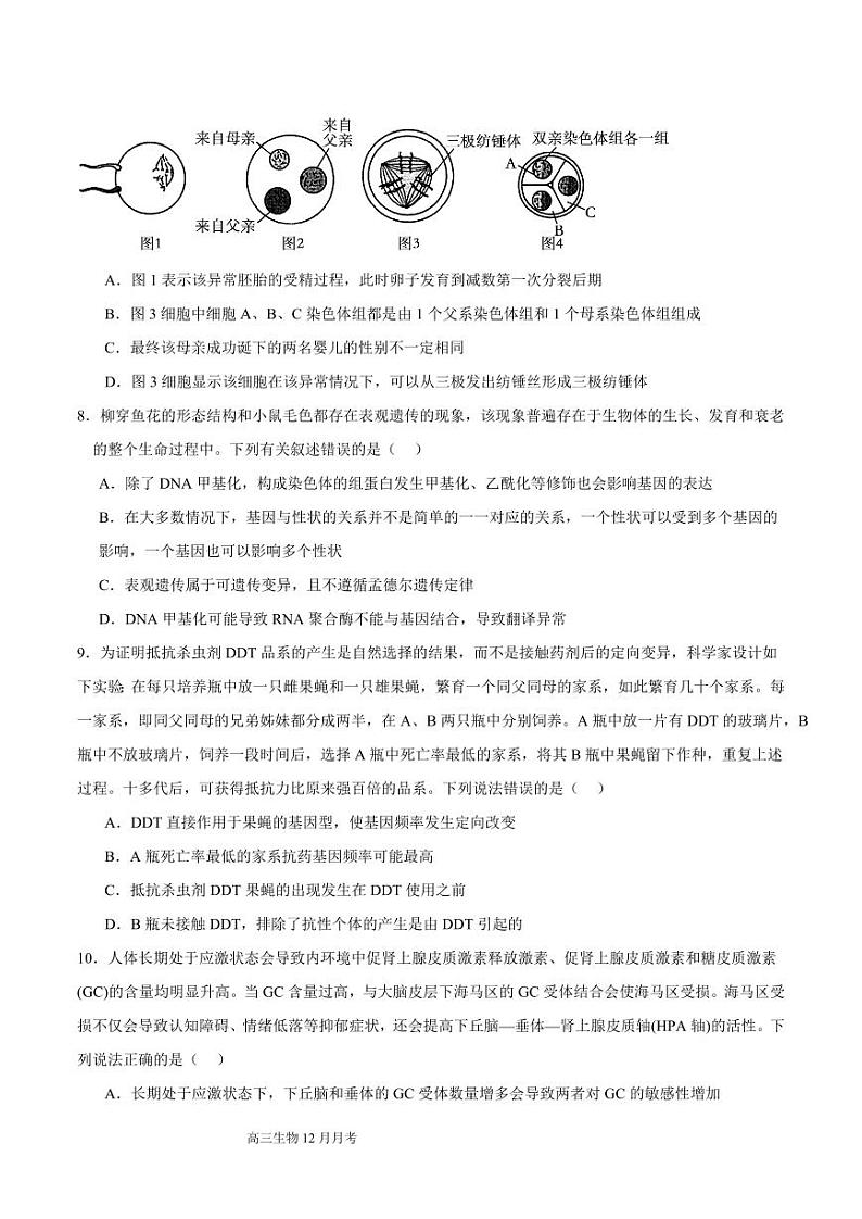 四川省成都列五中学2025届高三上学期12月考-生物试卷+答案第3页