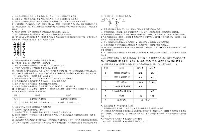 吉林省白城市实验高级中学2025届高三上学期1月期末考试-生物试题+答案第2页