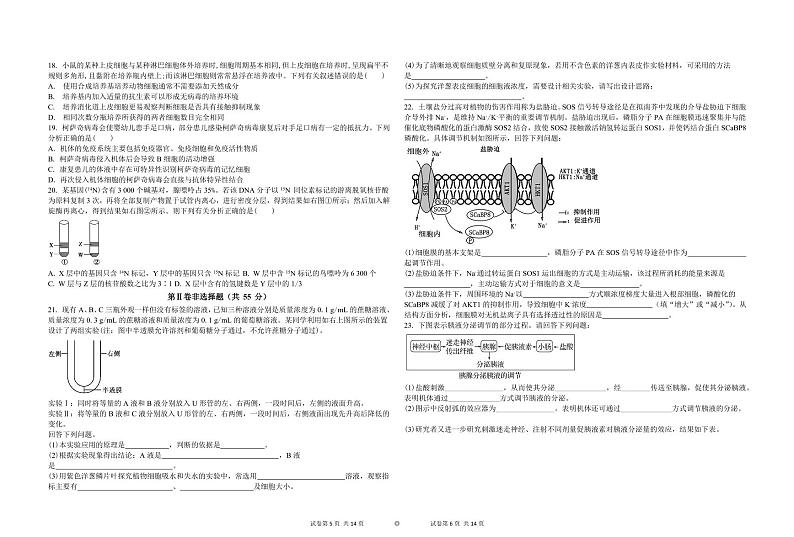 吉林省白城市实验高级中学2025届高三上学期1月期末考试-生物试题+答案第3页