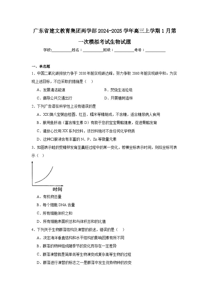 广东省建文教育集团两学部2024-2025学年高三上学期1月第一次模拟考试生物试题第1页