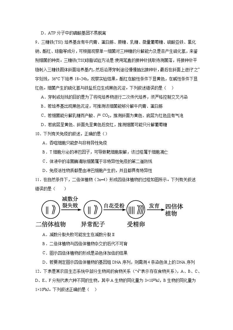 广东省建文教育集团两学部2024-2025学年高三上学期1月第一次模拟考试生物试题第3页