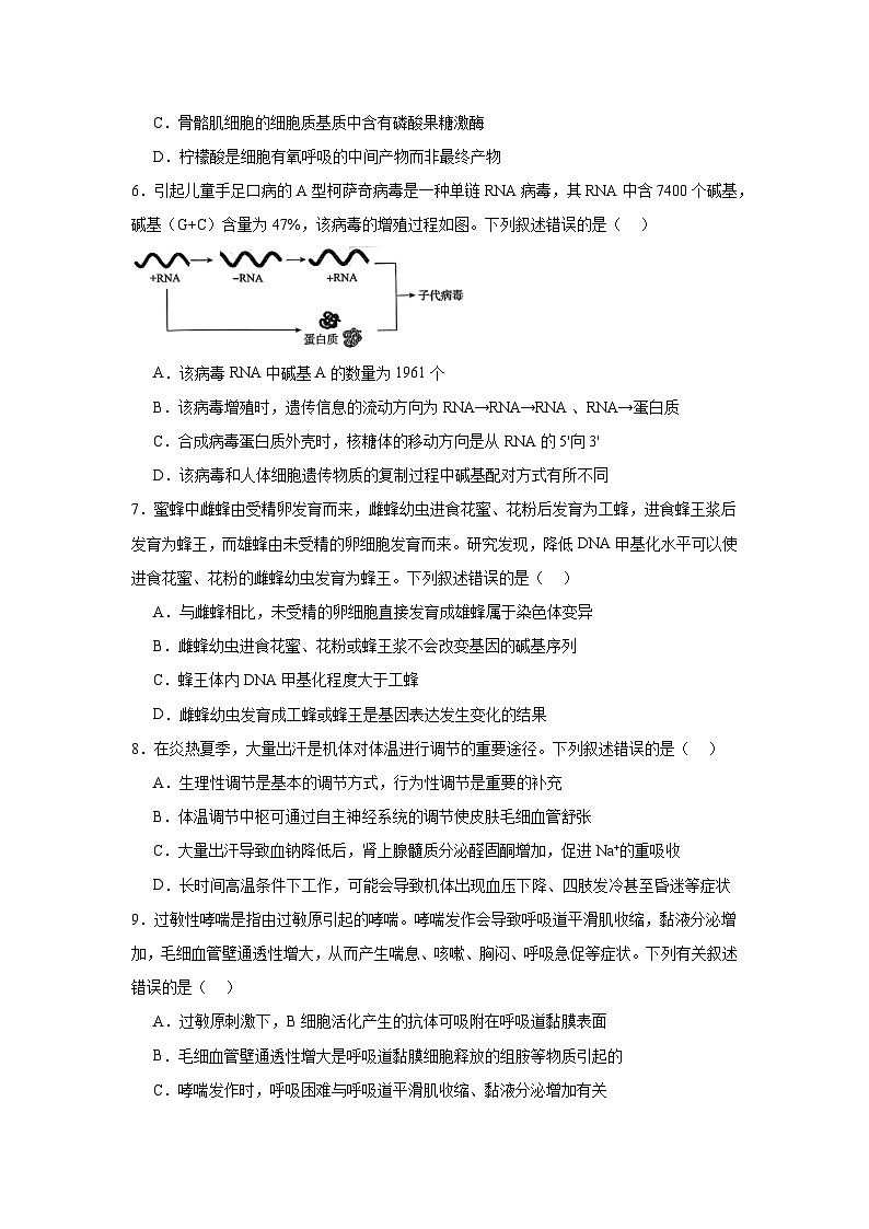 河北省邯郸市2024—2025学年高三上学期第二次调研生物试题第2页