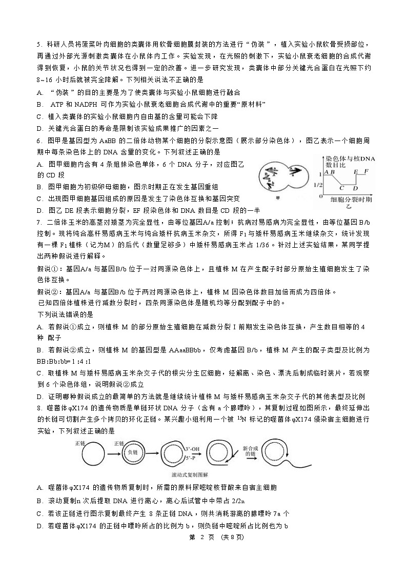 2025山东师大附中高三上学期12月阶段性检测试题生物含答案第2页