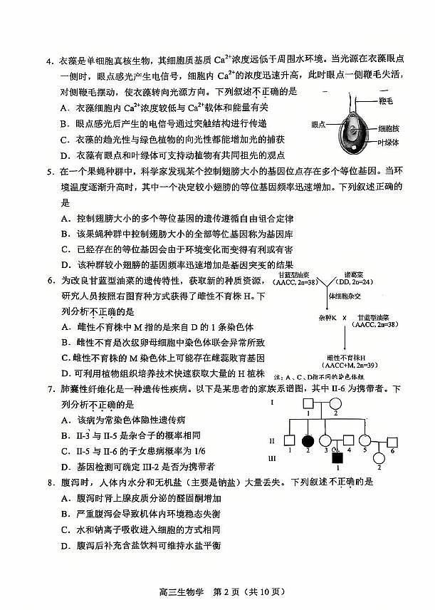 北京市丰台区2024-2025学年高三上学期1月期末生物试题第2页