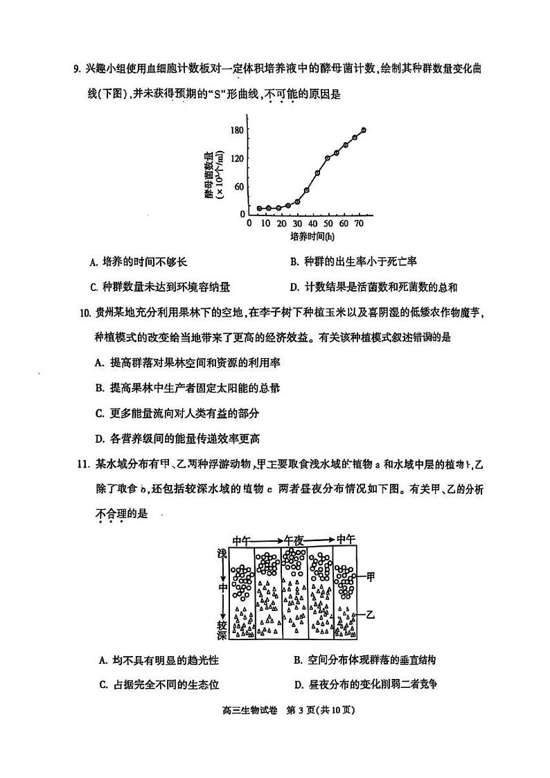 北京市顺义区2024-2025学年高三上学期1月期末生物试题第3页