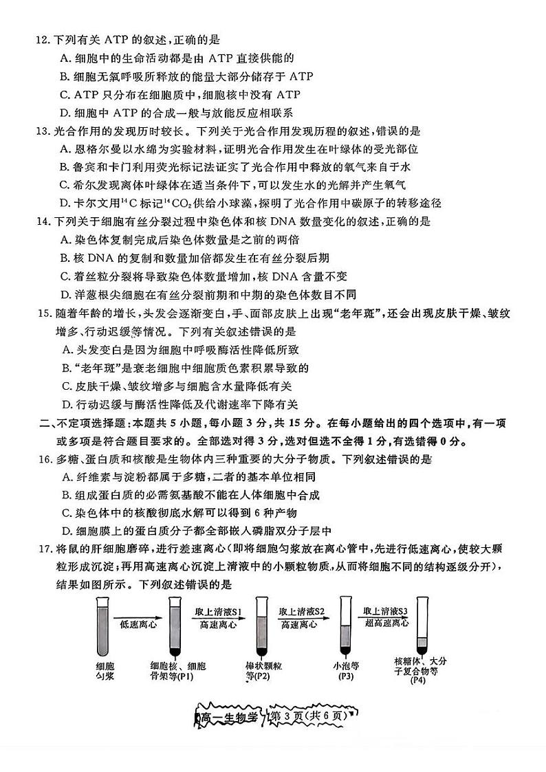 吉林省四平市实验学校2024-2025学年高一上学期期末考试生物试题第3页