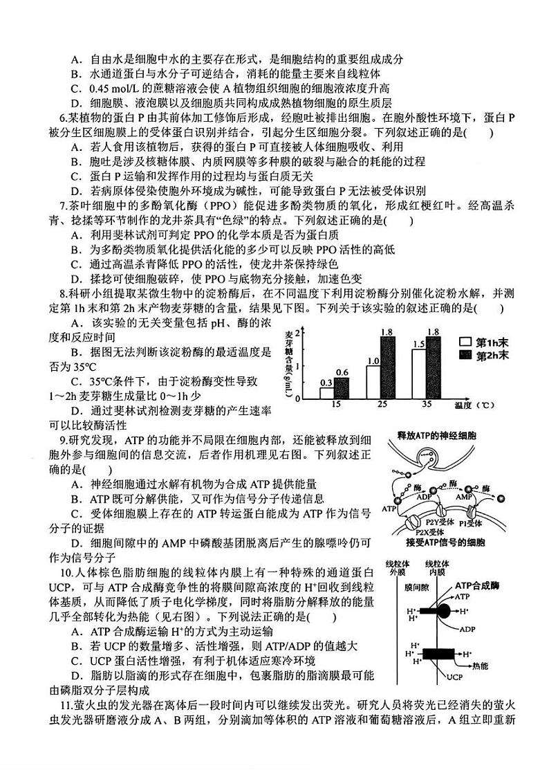 辽宁省辽南协作校2024-2025学年高一上学期期末考试生物试卷第2页